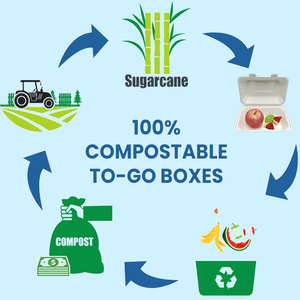 Bagazo <span class=keywords><strong>6</strong></span> pulgadas Concha biodegradable embalaje de alimentos hamburguesa desechable bagazo caja Concha bagazo contenedor de alimentos - Product Image 5