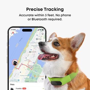 Averia Collar GPS Tracker For Dogs With Real Time Tracking And Activity Monitoring <b>Waterproof</b> Ip67 Modern Design - Product Image 2
