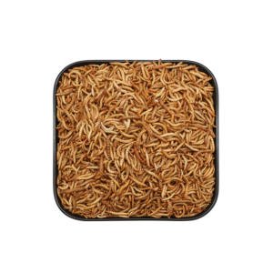 Ranova OEM להקפיא מיובש אוגר מזון וזוחלים מזון בתפזורת תולעי קמח קטן בעלי החיים מזון ספק - Product Image 4