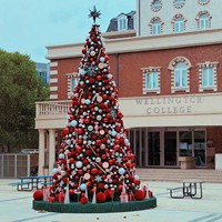 Grand arbre de Noël extérieur, neuf, artificiel, avec lumières LED, taille personnalisable, fabriqué en PVC et en fer, arbre de Noël géant