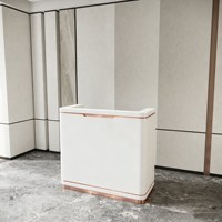 Réception de concessionnaire automobile, Caisse de salon de beauté, Réception de clinique dentaire et d'hôpital, Réception de salle d'exposition automobile, Bureau d'accueil pour la vente immobilière