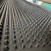 Planche de drainage en relief pour toit de jardin imperméable en HDPE Shengfeng / Feuille de géotextile pour chantiers de construction, sous-sols