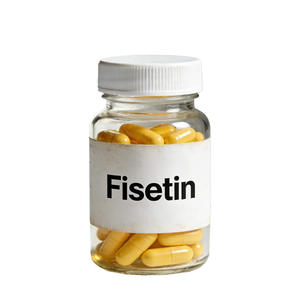 植物エクストラトラック食品グレードサプリメント純粋なCas No:528-48-3 Cotinus Coggygeaエキス98% フィセチン - Product Image 3