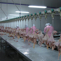 Machine de ligne d'abattage d'oie de canard de poulet avec moteur et composants de noyau de roulement pour les machines d'abattage de volaille