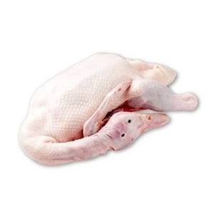 Cabeza de Pato Congelada BQF Premium, Grado A, Venta al Por Mayor, 24 Meses de Vida Útil, Para Hoteles, Restaurantes, Catering, Importadores Globales - Product Image 1