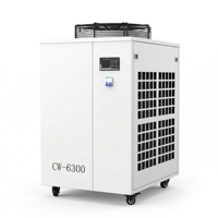 Refroidisseur d'eau laser portable commercial en gros, système de refroidissement par eau refroidie CW5200, mini-refroidisseur d'eau industriel