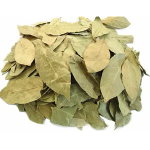 Dried Bay Leaves Laurus Nobilis Hojas De Laurel European Quality AD Light Green Piece Raw Leaf Sale of Dried Leaves Tobacco /