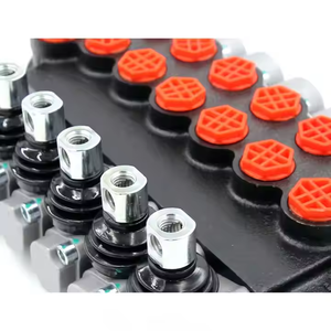 Válvulas Hidráulicas de Marca Privada P40-G12-G38, Mejore el Valor de su Marca con las Válvulas P40-G12-G38 - Product Image 5