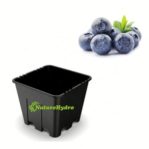 Planta negra barata al por mayor para plantas suculentas, <span class=keywords><strong>macetas</strong></span> de vivero, maceta de plástico de 3 galones y 12cm sin agujeros - Product Image 5