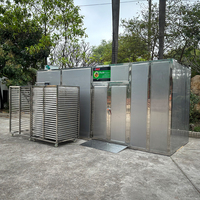 Automatische Jackfruit- en Kiwi-droger, commerciële fruitdehydrator