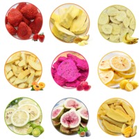 EU-standaard Premium Gemengd Gefreeze-droogd Fruit Mix Fruit Snack Groothandel FD Fruitchips Gedroogde Groenten Gedroogd Fruit