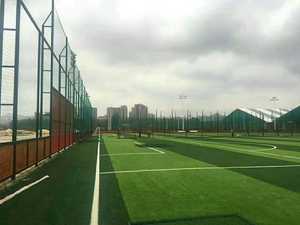 Cage de football Offre Spéciale panna terrain de futsal bon marché avec terrain d'entraînement de football en gazon synthétique - Product Image 2