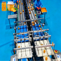 ENAK High Capacity Fruitconservenlijn 3000 blikjes per uur productiemachine voor gele perzik, ananas, mandarijn en sinaasappel