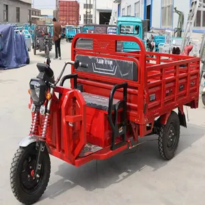 Sản xuất tại Trung Quốc Điện ba bánh xe điện xe 3 bánh xe hàng hóa có người lái bán buôn nông nghiệp hộ gia đình thương mại xe máy