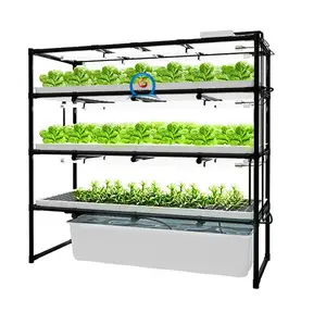 hot sale innovative cultivation equipment growing agricultural hydroponic seeds automatically system