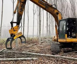 Prix de gros : Grappin de débardage pour bois avec tronçonneuse intégrée pour l'exploitation forestière professionnelle CE - Product Image 3