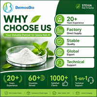 Poudre de Stévia Pure Reb M en Vrac – Ingrédient Naturel Édulcorant pour la Réduction du Sucre et le Développement de Produits