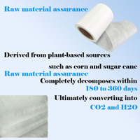 100% entièrement biodégradable, fibre de maïs PLA, haute qualité, 25GSM, matériau en fibre PLA, vente en gros de rouleaux de sachets de thé, tissu non tissé spunbond