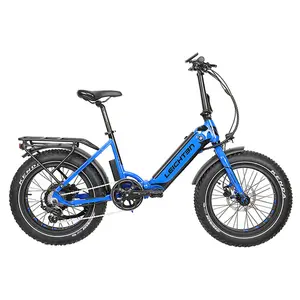China 500w/750W 48v/10.4AH/14AH rechargeable Li-ion battery rear driving 20"*4.0 fat tire electric bike bicycle foldable