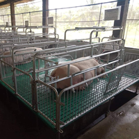 Enclos de mise bas individuels pour porcs d'élevage, équipement d'élevage porcin