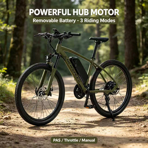 Motocicleta Eléctrica sin Escobillas de 1000W 800W 48V con Batería de Litio para Paseos por la Playa - Product Image 3