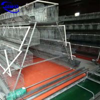 Cage à poulet en acier inoxydable 200 pour les poules et les bébés poussins, caisse en bois, produit chaud fourni, poulailler à 20 poules pondeuses
