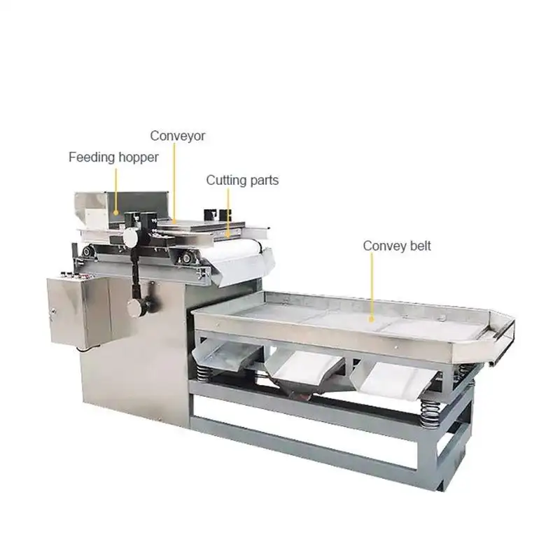 Machine de machines d'olive à la mode et huile de presse à froid 100 Ltr Hr Machine de concassage de noix