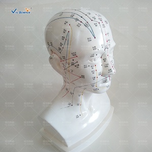 Modello <span class=keywords><strong>di</strong></span> agopuntura della testa a grandezza naturale per la <span class=keywords><strong>formazione</strong></span> <span class=keywords><strong>e</strong></span> l'<span class=keywords><strong>educazione</strong></span> nelle <span class=keywords><strong>scienze</strong></span> mediche - Product Image 3
