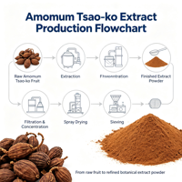 Ekstrak Amomum Tsao-ko 10:1-50:1 Bubuk Ekstrak Botani Kelas Makanan Pasokan Massal
