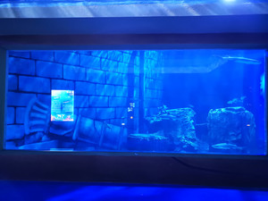 2022 חם למכור התאמה אישית גדול אקריליק מלבן דגי אקווריום אקריליק אקווריום custom דגי טנק - Product Image 3