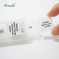 Parasitology Set of 5 Pcs Slides Microscope Biological Microscope Prepared Slides