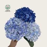 Simulasi 3D Bunga Hydrangea Buatan Tangan dari Sutra Artifisial untuk Pernikahan, Tahan Lama, Modern, Wisuda, Halloween, Hotel, Hari Valentine