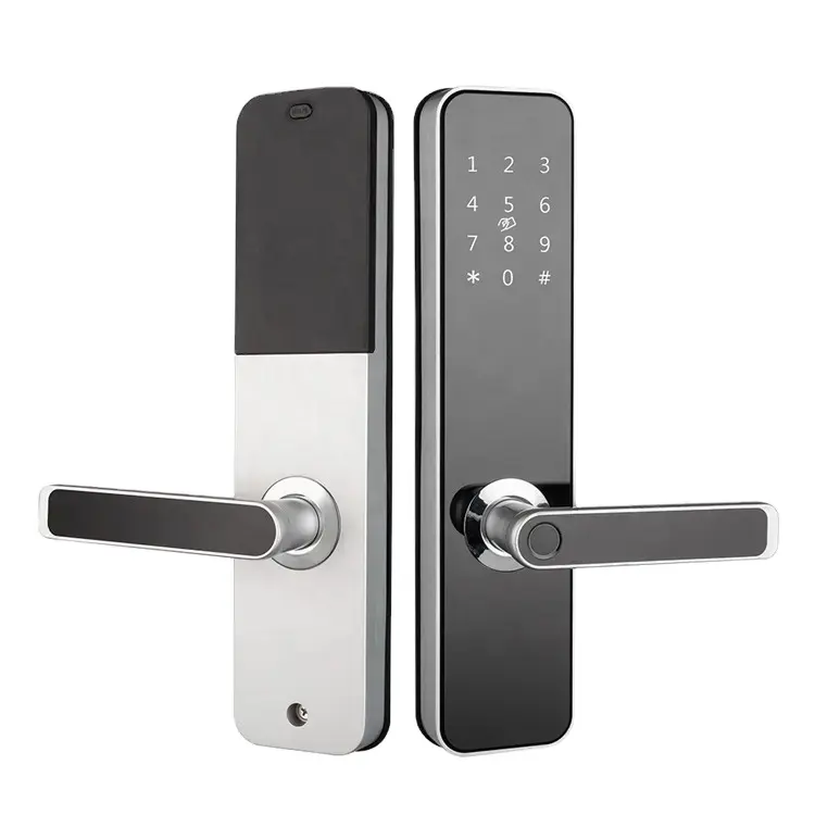 Vendita calda di fabbrica in alluminio effetto scorrevole TTlock Fingerprint App Wifi Tuya Smart Door Lock per Hotel