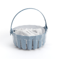 Pinces à linge en plastique de haute qualité (PP), 16 pièces dans le panier