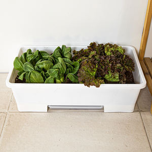 Pot de fleurs classique marron en PP, base stable et durable, pour jardin, intérieur et extérieur, léger et décoratif pour la maison - Product Image 4