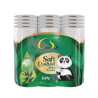 Papier toilette jetable biodégradable de marque propre OEM, papier toilette 2 plis, rouleau de papier toilette en gros
