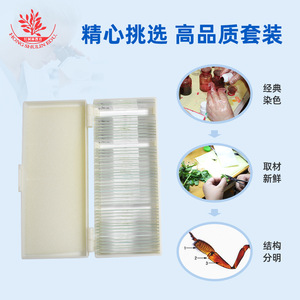 50 - Product Image 3