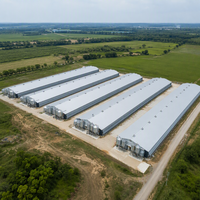 Bâtiment industriel préfabriqué en structure légère isolée en acier pour poulailler, avec ossature en acier galvanisé à chaud haute résistance
