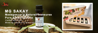 Huiles Essentielles de Mandravasarotra (Saro) à Marque Blanche – Huile Botanique Africaine Exclusive, Plante Endémique de Madagascar, 100% Pure, 3 Ans de Maturation