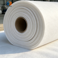 Géotextile en polyester non tissé à bas prix, tissu géotextile en filament PET pour la construction routière, le drainage, la filtration et la séparation des sols