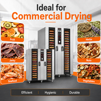 Déshydrateur alimentaire commercial en acier inoxydable, 12 à 64 plateaux, machine électrique pour sécher fruits, viande, fruits de mer, 220V 380V