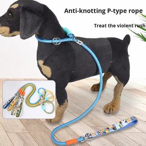 Laisse pour <span class=keywords><strong>chien</strong></span> anti-explosion en gros, laisse pour <span class=keywords><strong>chien</strong></span> sans effort, chaîne en P universelle pour chiens, laisse de promenade anti-évasion pour chiens - Product Image 2