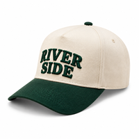 Casquette de baseball brodée personnalisée, bicolore beige et vert, broderie 3D en relief, coton, 6 panneaux, réglable, casquette de sport, golf, unisexe
