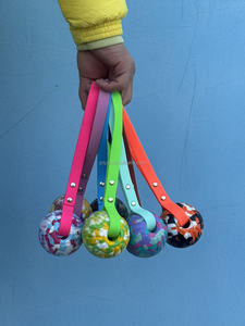Umweltfreundliche Outdoor-Hundeleine im Modernen Stil mit Interaktivem PVC-Leder-Elastikball-Griff, Haustierfreundlich aus EVA-Material - Product Image 4