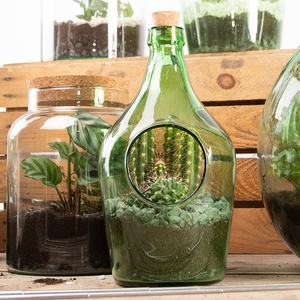 AGG68 Esschert-Design dekoratives halböffnete Flasche mini kleines <span class=keywords><strong>Terrarium</strong></span> Großhandel Versorgung Pflanzen <span class=keywords><strong>Terrarium</strong></span> mit Korkdeckel - Product Image 6