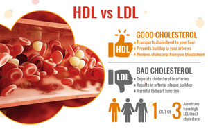 OEM/ODM 콜레스테롤 지원 보충제 혼합 베리 맛 콜레스테롤 구미 - Product Image 5
