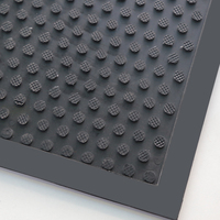 Tapis de sol extérieur personnalisé, tapis et moquettes d'intérieur, tapis en caoutchouc imprimés en 3D avec logo
