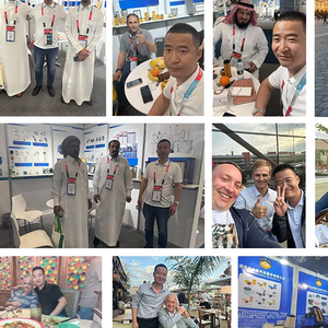 Heißer Verkauf Fabrikpreis Hochwertige Schwerlastwagen-Motorenteile OEM 1948921 E21HD74 E422H D86 Dieselmotor-Teile Ölsätze - Product Image 6