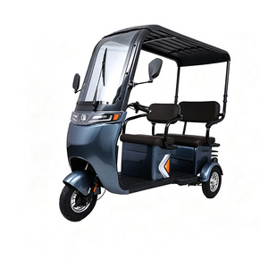 Vélo électrique à trois roues, tricycle électrique pour adultes, tricycle électrique cargo, tricycle électrique pour personnes âgées, tricycle cargo électrique avec panier - Product Image 3