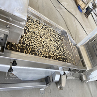 Crible vibrant linéaire double couche haute fréquence avec moteur PLC, capacité 500kg/h-1000kg/h, marque XT, pour maïs, soja, noix, légumes